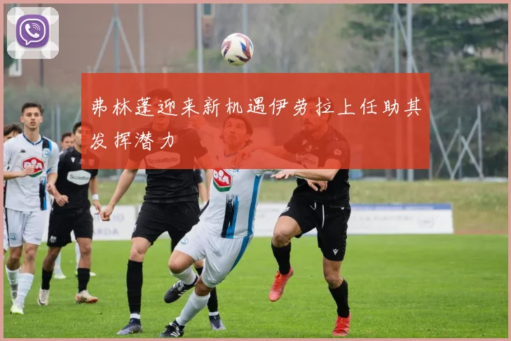 弗林蓬迎来新机遇伊劳拉上任助其发挥潜力